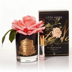 Cote Noire - French White Peach Rose Black Vase W/Gold Crest