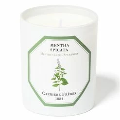 Carriere Freres - Spearmint Scented Candle 185g