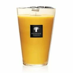 Baobab - Zanzibar Spices Maxi Max 35 Scented Candle 6.5kg