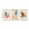 Art & Canvas - Matisse Wall Art Wood Frame 3pc 50x70cm
