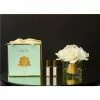 Cote Noire - Five Ivory White Roses Clear Glass Gold Crest Jade