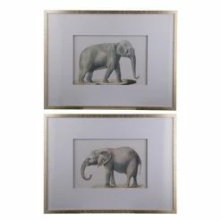 Dasch - Elephant Framed Prints Set Of 2pce