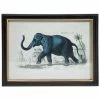 Luxe By Peter's - Safari Animal Print Frame Elephant