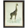 Luxe By Peter's - Safari Animal Print Frame Giraffe