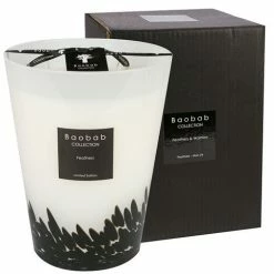 Baobab - Feathers & Warriors Large Feathers Candle