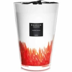 Baobab - Feathers Masaai Maxi Max Candle 35cm
