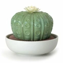 Lladro - Astrophytum Cactus Night Approaches Diffuser