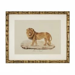 Vandenberg - Print Lionne De Barbarie